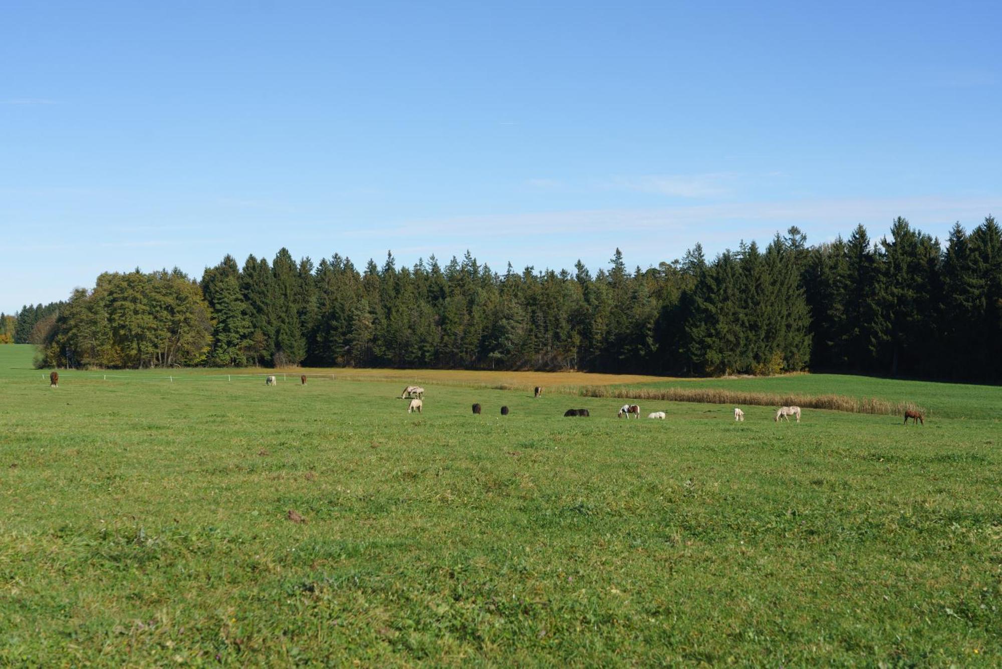 Private Farmhouse Escape - Ideal For Up To 8 Guests Seeham Екстериор снимка